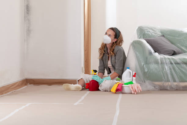 Reliable Mold Remediation contractor in Riverdale, MD by WQB Mold Removal
